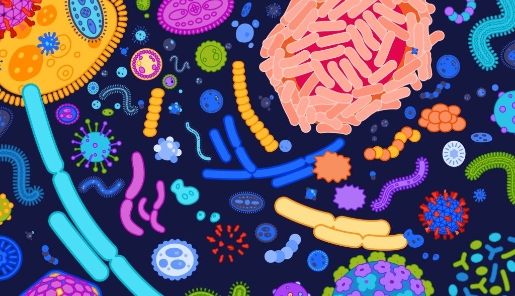 image microbiota intestinale
